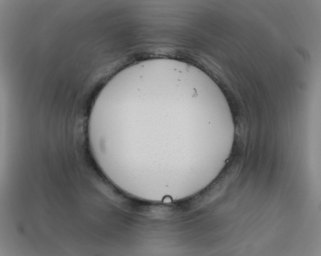 X0000113780462200910211209