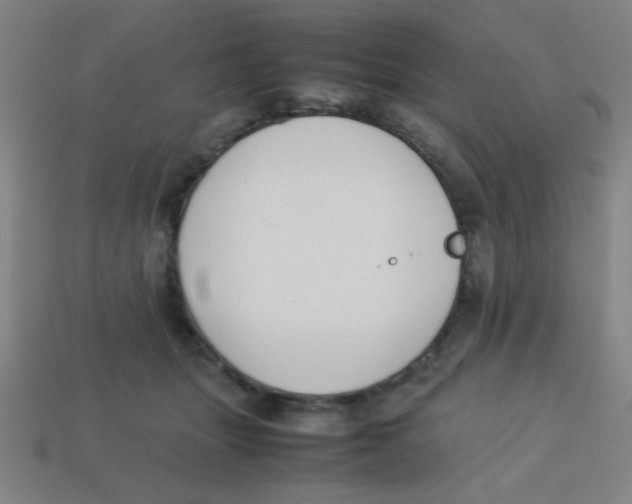 X0000113780463200910211209