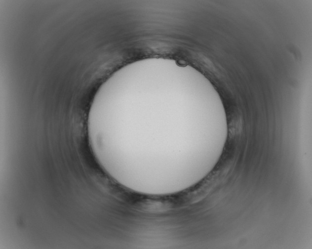 X0000113780464200910211209