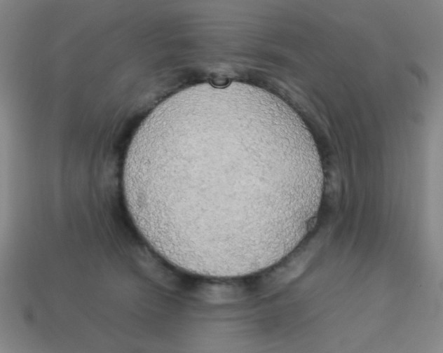 X0000113780466200910211209