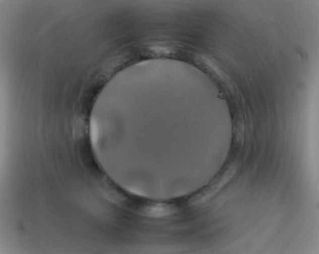 X0000113780467200910211209