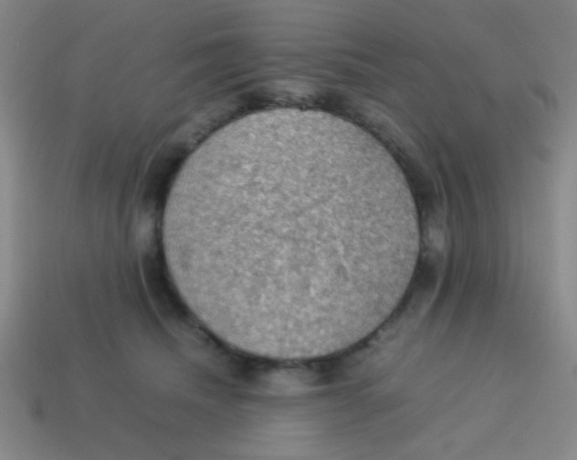 X0000113780468200910211209