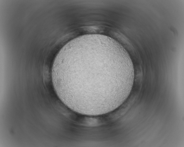 X0000113780469200910211209