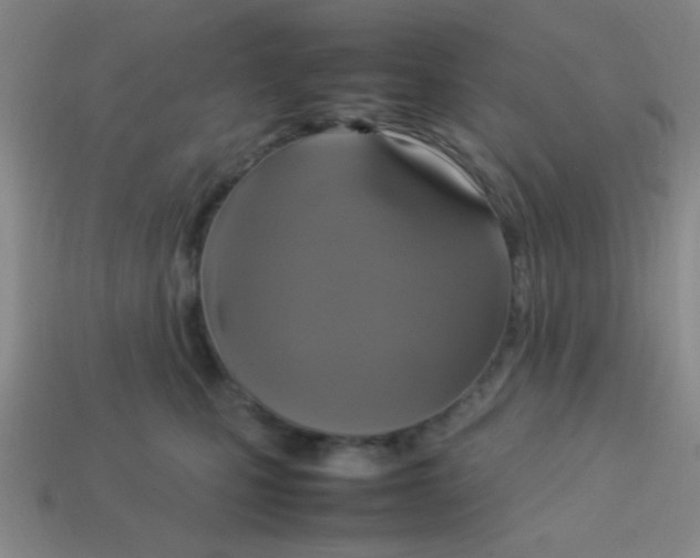 X0000113780471200910211209