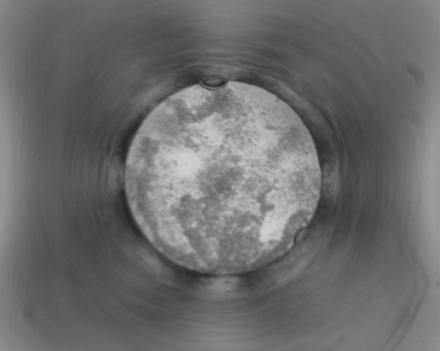 X0000113780474200910211209