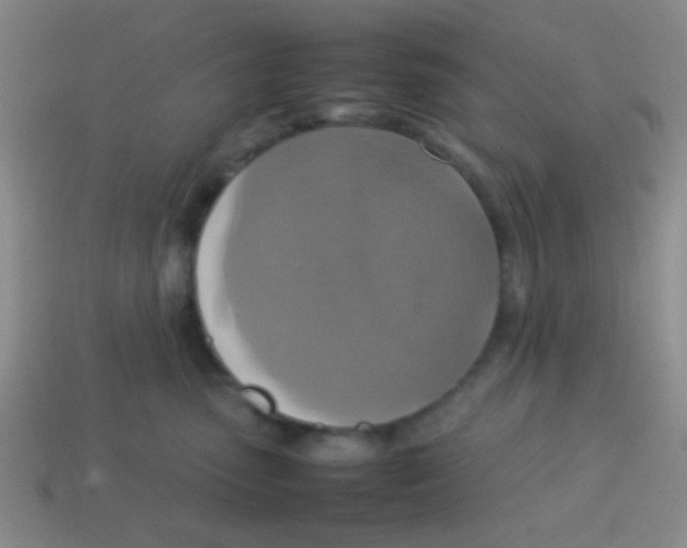 X0000113780475200910211209