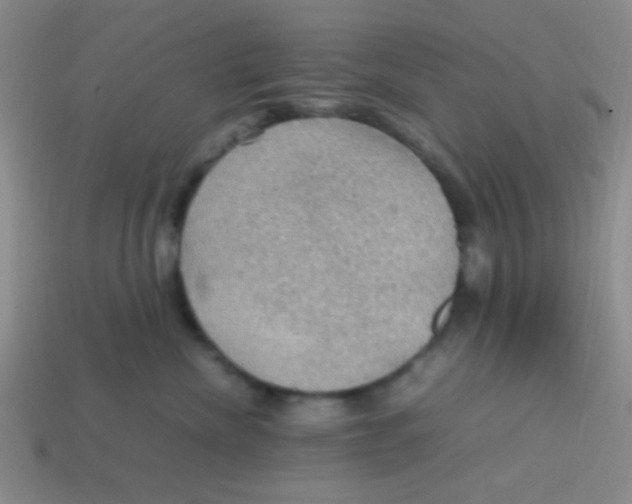 X0000113780476200910211209