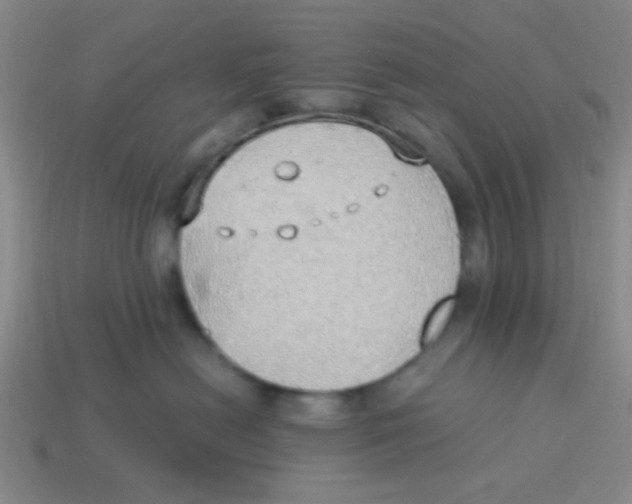 X0000113780478200910211209