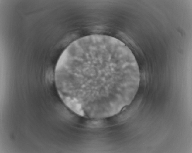 X0000113780479200910211209