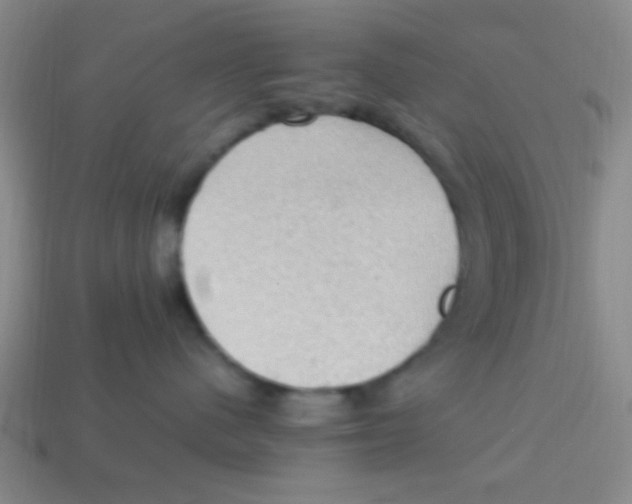 X0000113780480200910211210