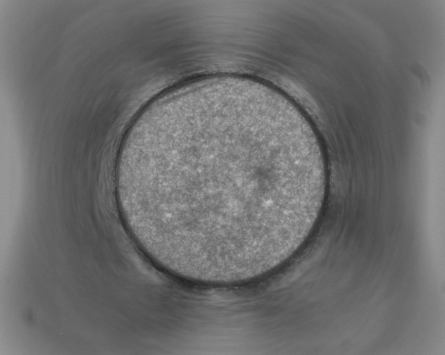 X0000113780481200910211209