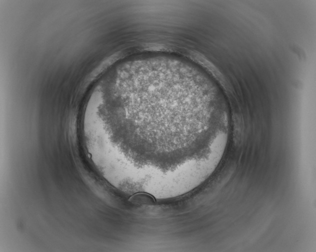X0000113780482200910211209