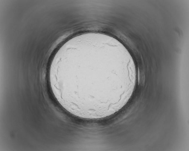 X0000113780483200910211209