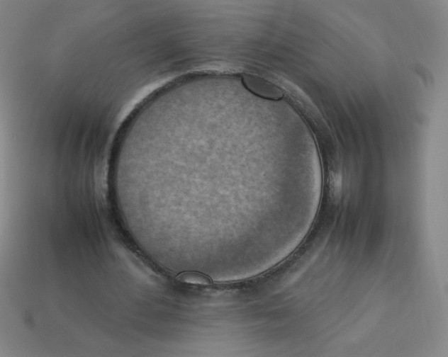 X0000113780484200910211209