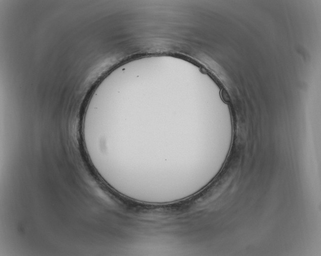X0000113780485200910211209