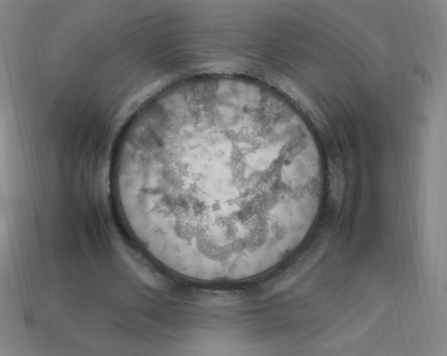 X0000113780486200910211209