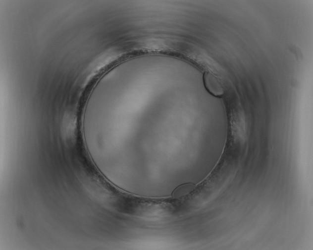 X0000113780488200910211209