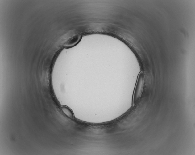 X0000113780489200910211209