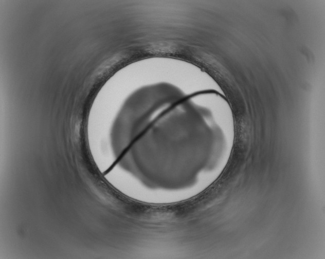 X0000113780491200910211209