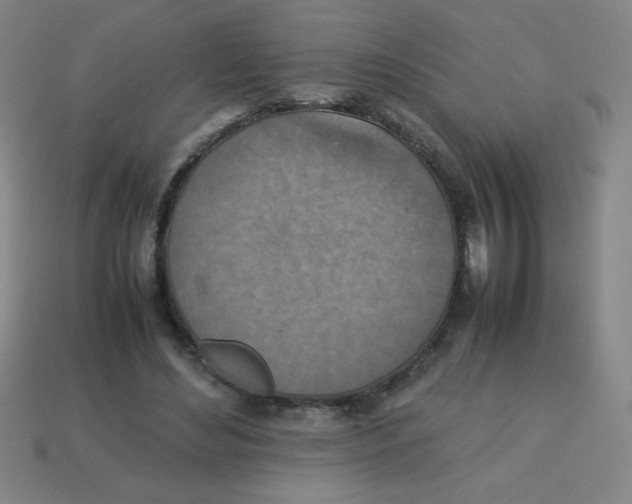 X0000113780492200910211209