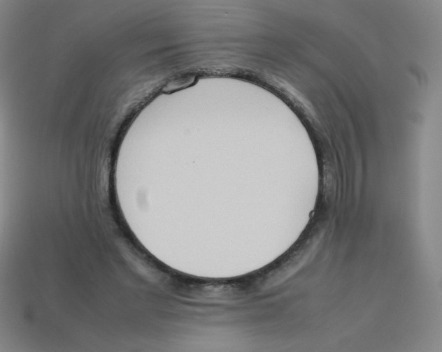 X0000113780493200910211209