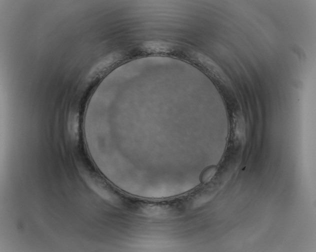 X0000113780494200910211209