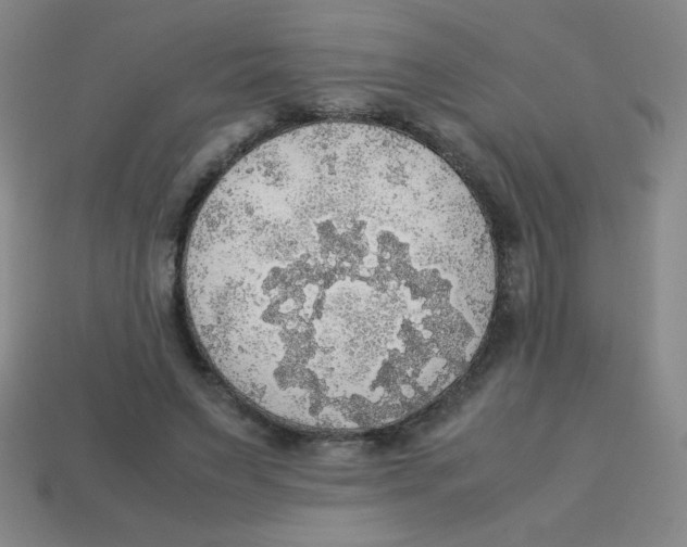 X0000113780495200910211209