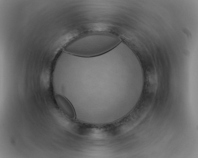 X0000113780496200910211209