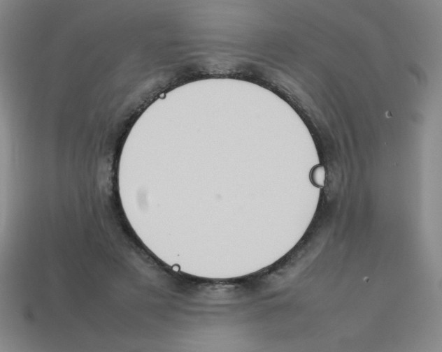 X0000113780497200910211209