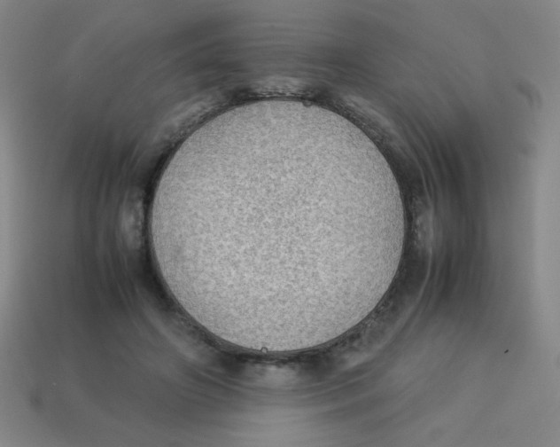 X0000113780498200910211209
