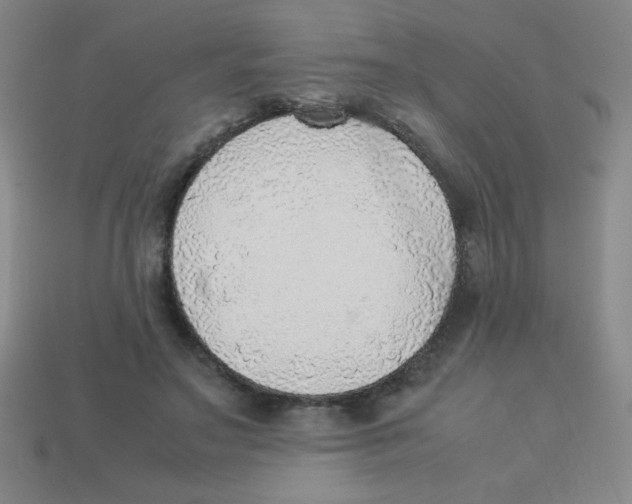 X0000113780499200910211209