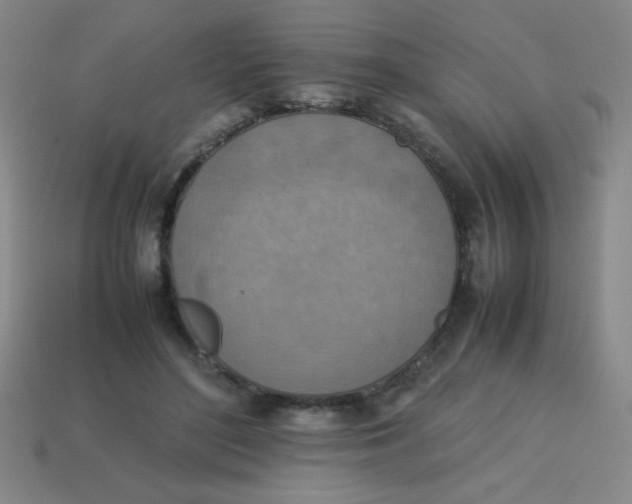 X0000113780500200910211209
