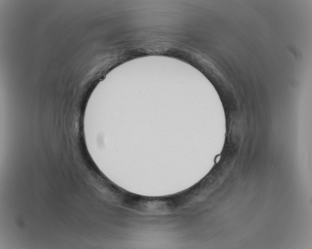 X0000113780501200910211208