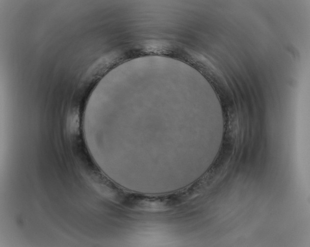 X0000113780502200910211208