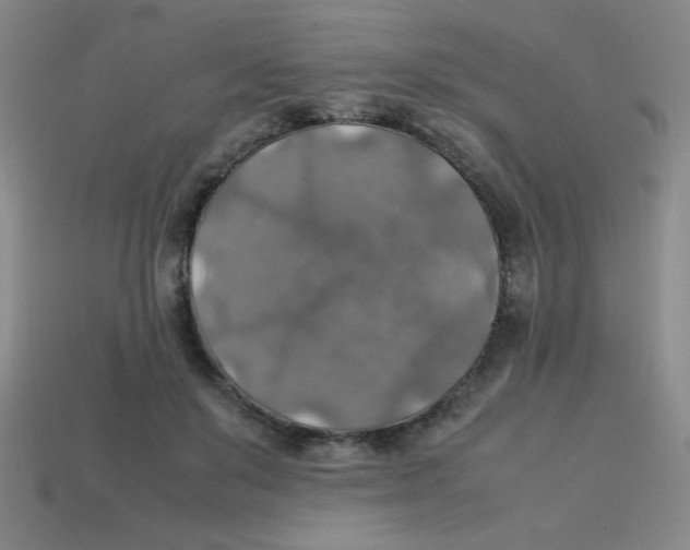 X0000113780503200910211208