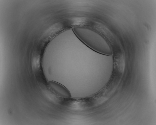 X0000113780504200910211208
