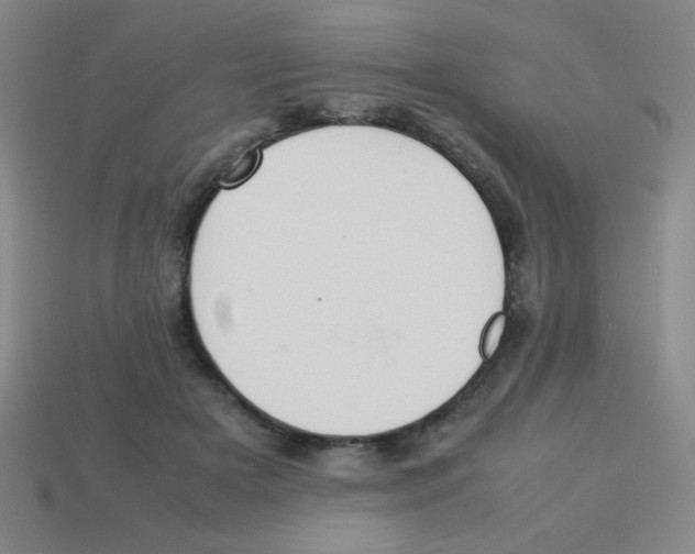 X0000113780505200910211208