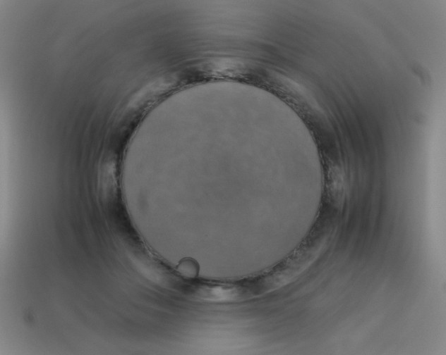 X0000113780506200910211208