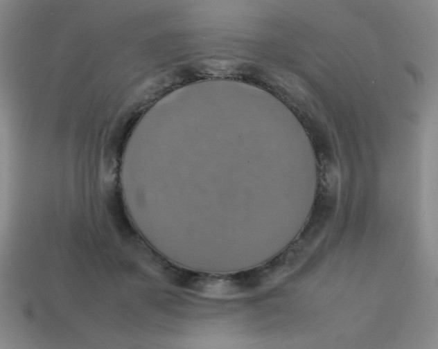 X0000113780507200910211208