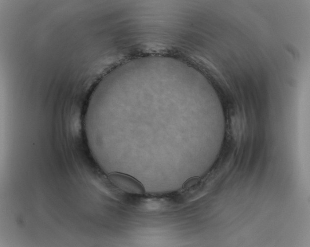 X0000113780508200910211208