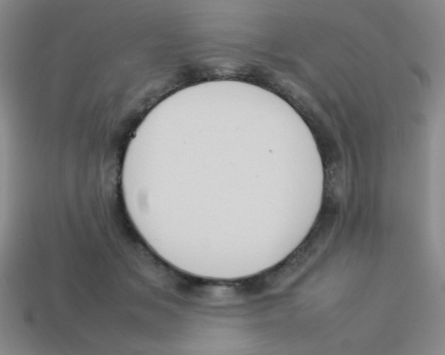 X0000113780509200910211208
