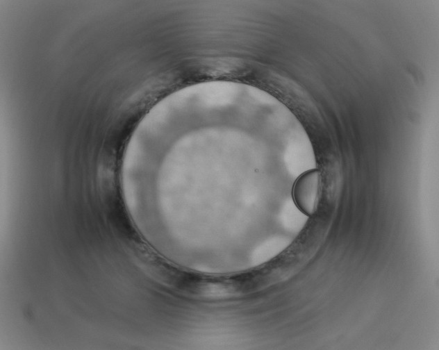 X0000113780510200910211208