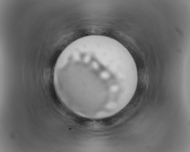 X0000113780511200910211208