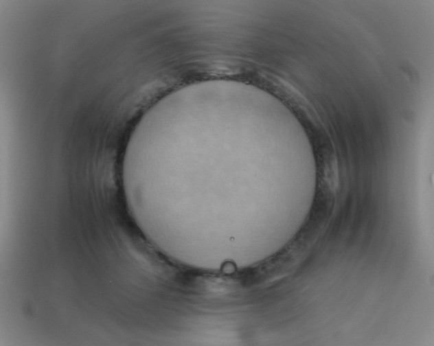 X0000113780512200910211208