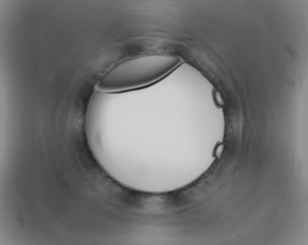 X0000113780513200910211208