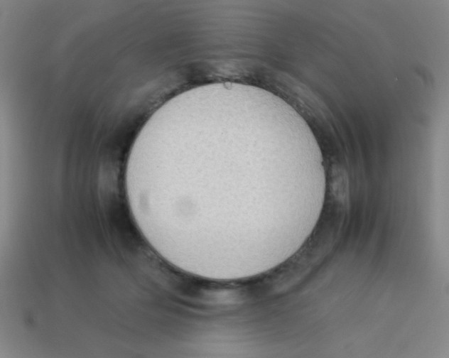 X0000113780514200910211208