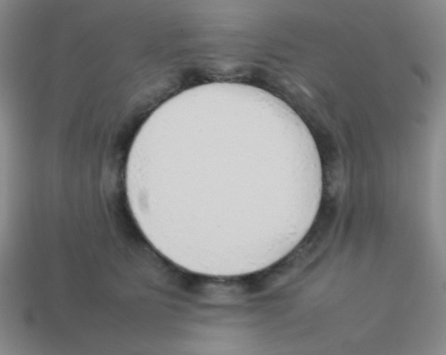 X0000113780515200910211208