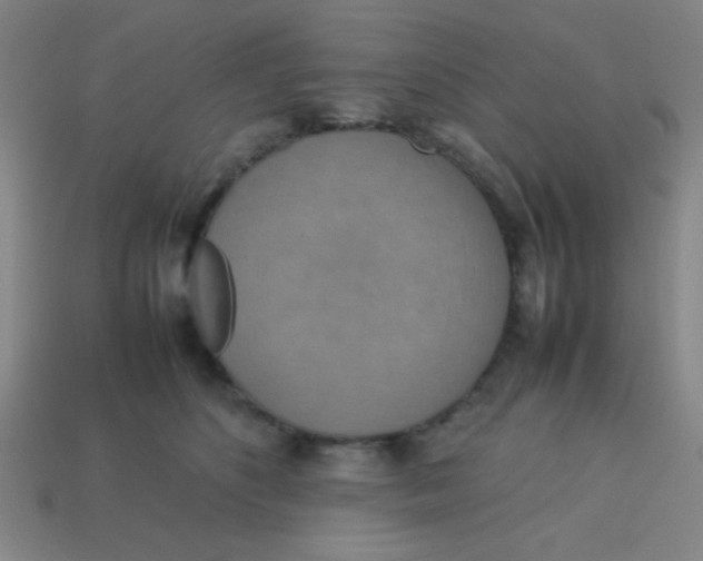 X0000113780516200910211208
