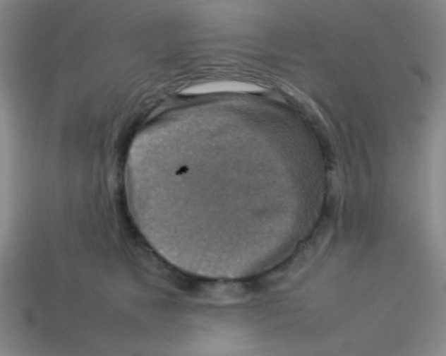 X0000113780517200910211208