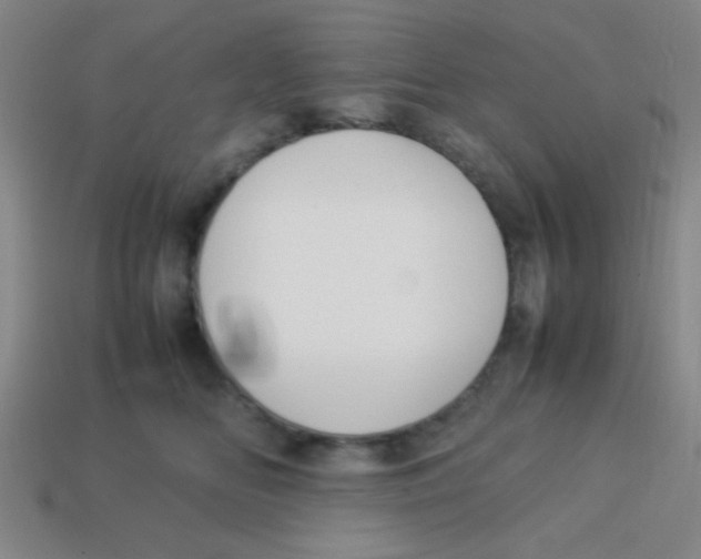 X0000113780518200910211208